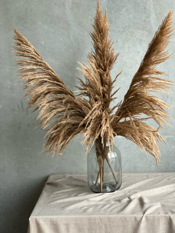 Pampas - naturlige 115 cm