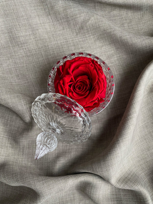 Glaskrukke med rose